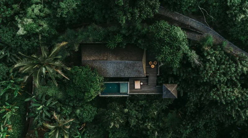 Rainforest Pool Bale